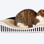 60cm Piano Cat Scratch Board – Durable Recyclable Cardboard with Catnip