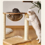 Space Capsule Cat Tree & Climbing Frame for Cats